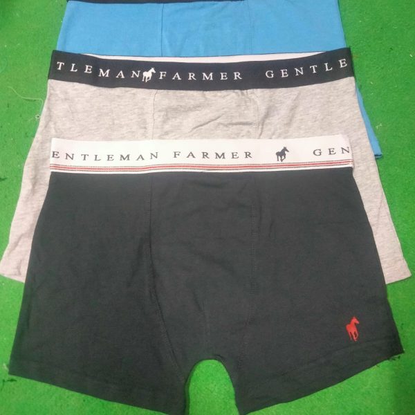 Men's Underwear/Boxer